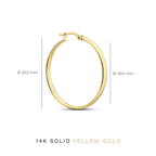 Sabrina | Gold Statement Earrings