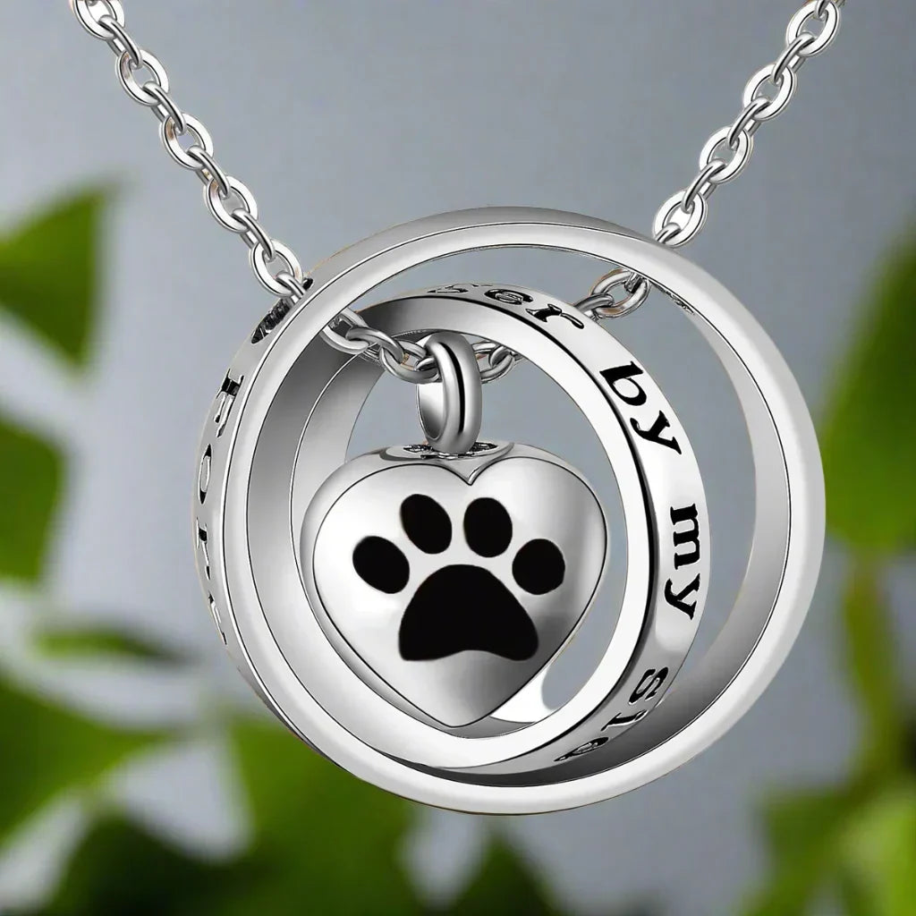 Urn Paws Necklace in Stainless Steel