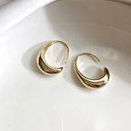Luxurious Gold Earrings