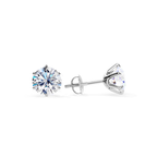 Tara | White Gold Stud Earrings