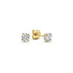 Rosalie | Gold Moonstone Teardrop Earrings