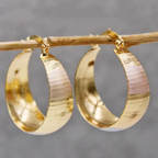 Golden Luxury Earrings
