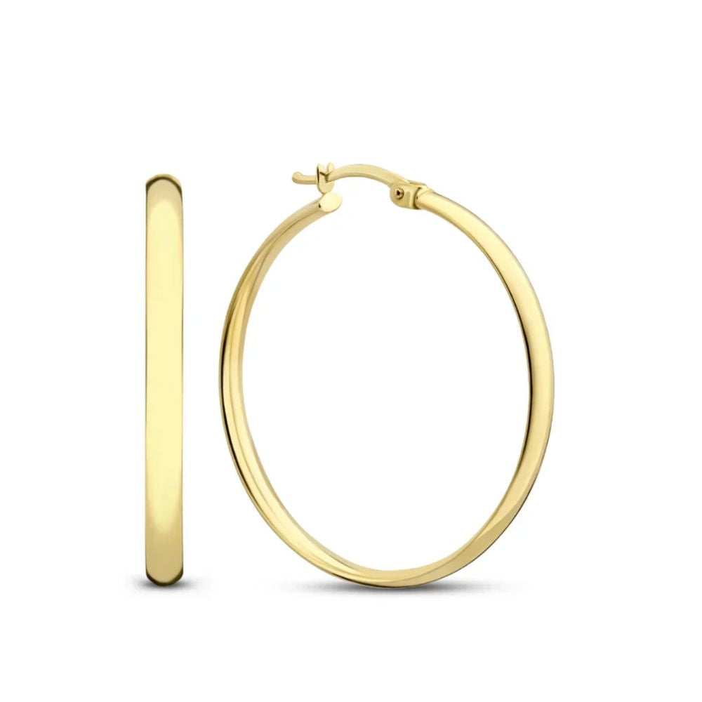 Liesel | Gold Earrings