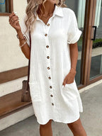 Araminta | Timeless V-Neck Blouse Dress