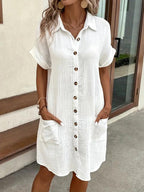 Araminta | Timeless V-Neck Blouse Dress